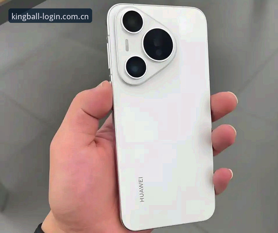 球王会App怎么安装iOS版？老用户手把手完整指南